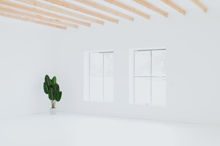 The open Edmond studio: white walls, two tall windows, timber beams and a potted plant