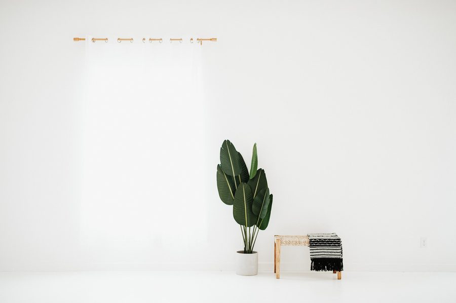 The white side: a bright white wall with a potted plant and a woven bench