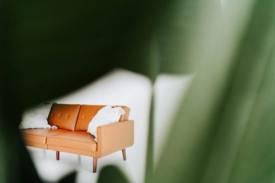 The leather sofa seen through green leaves